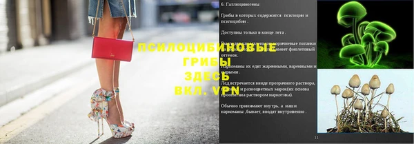 эйфоретик Богородицк