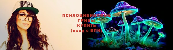 эйфоретик Богородицк
