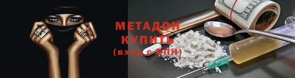 ГАЛЛЮЦИНОГЕННЫЕ ГРИБЫ Богданович