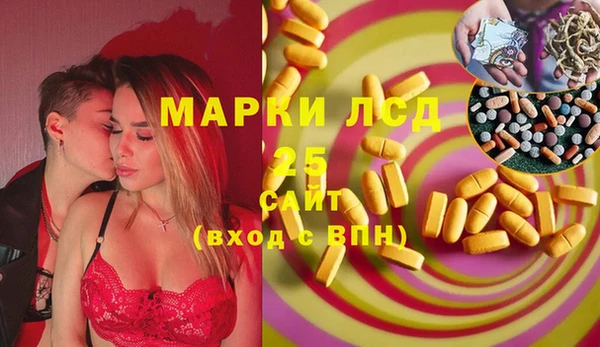 ГАЛЛЮЦИНОГЕННЫЕ ГРИБЫ Богданович