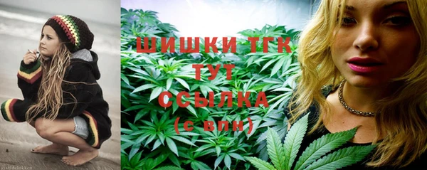 ГАЛЛЮЦИНОГЕННЫЕ ГРИБЫ Богданович