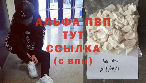 ГАЛЛЮЦИНОГЕННЫЕ ГРИБЫ Богданович