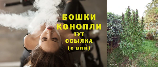 ГАЛЛЮЦИНОГЕННЫЕ ГРИБЫ Богданович
