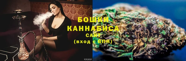 ГАЛЛЮЦИНОГЕННЫЕ ГРИБЫ Богданович