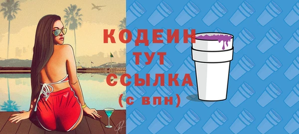 ГАЛЛЮЦИНОГЕННЫЕ ГРИБЫ Богданович