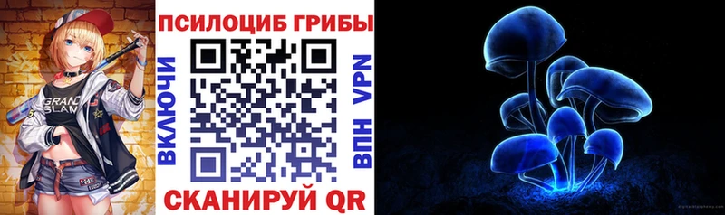 Галлюциногенные грибы Psilocybine cubensis  Великий Новгород 