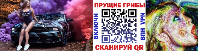 Галлюциногенные грибы мицелий Великий Новгород